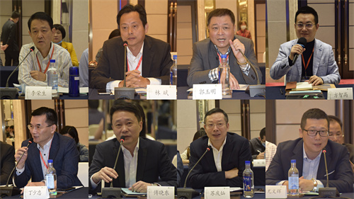 侨商代表发言会议现场,翁小杰,侨商代表李荣生,林斌,郭玉明,方智高,丁